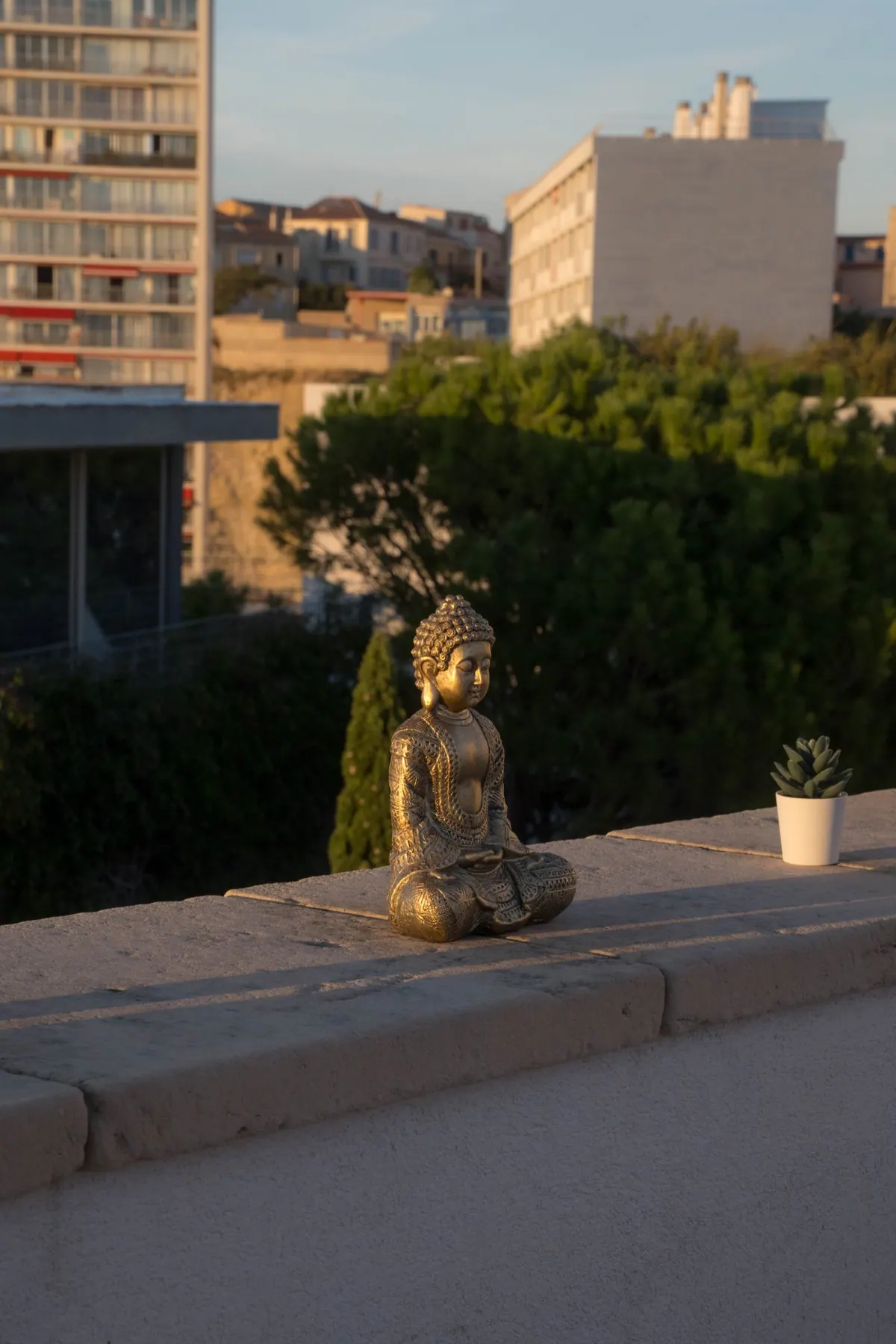 Graine de Chiasme – photo 7